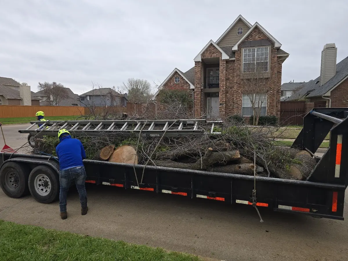 Expert Tree Pest Control with proper safety equipment in Sutersville